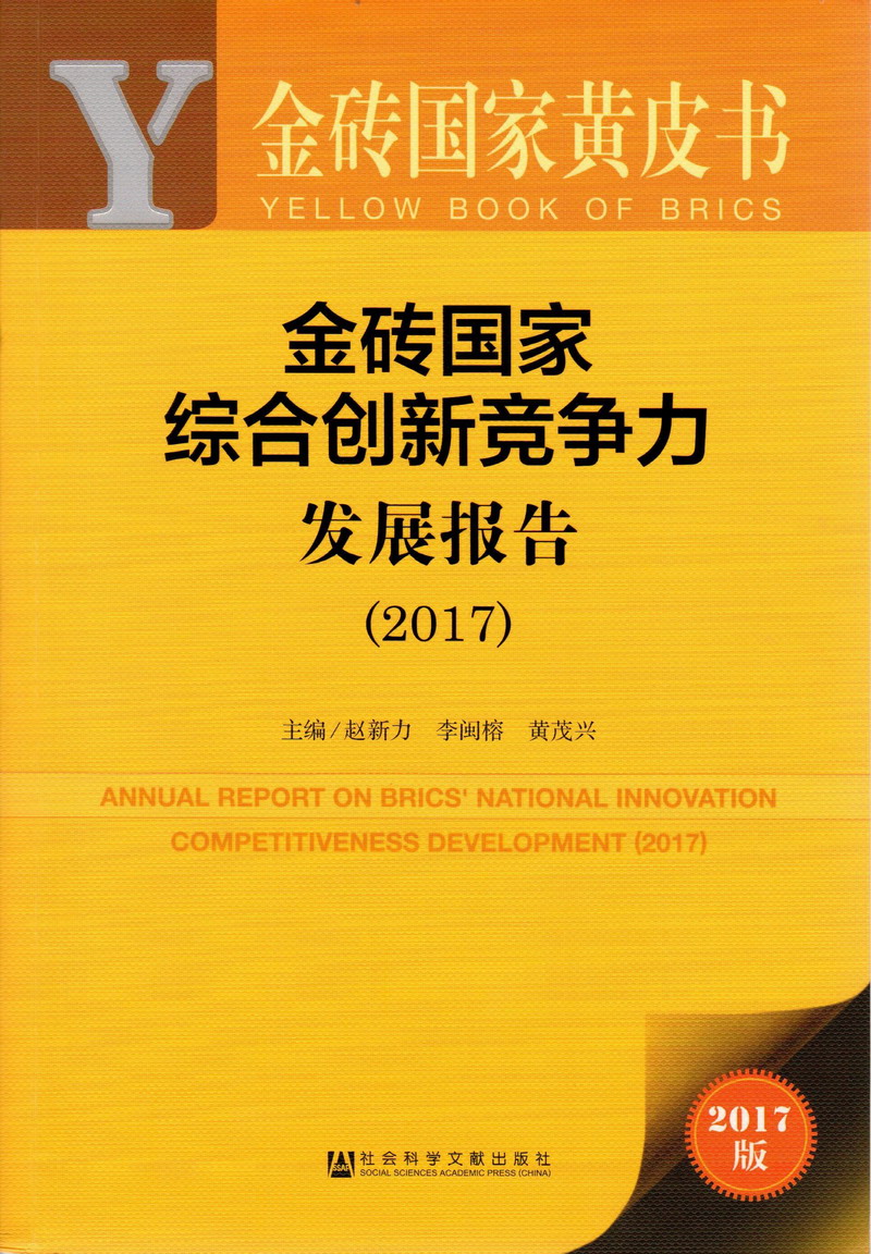 JK.黑丝酒店激情金砖国家综合创新竞争力发展报告（2017）